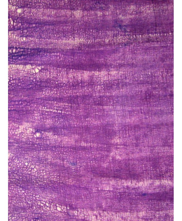 Imperial Purple Paraffin Crackle